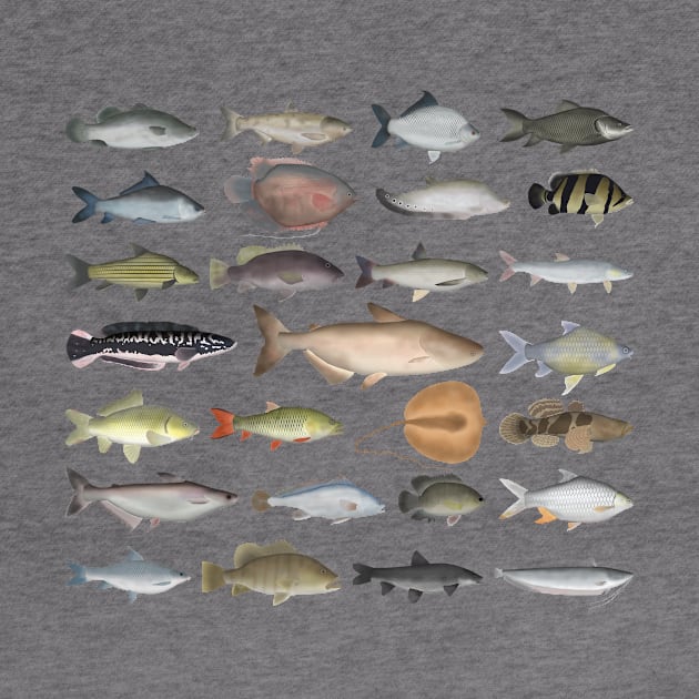 Southeast Asia Freshwater Fish Group by FishFolkArt